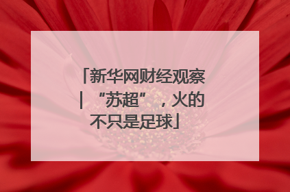 新华网财经观察｜“苏超”，火的不只是足球