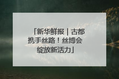 新华鲜报｜古都携手丝路！丝博会绽放新活力