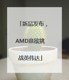 新品发布，AMD意欲挑战英伟达
