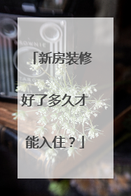 新房装修好了多久才能入住？