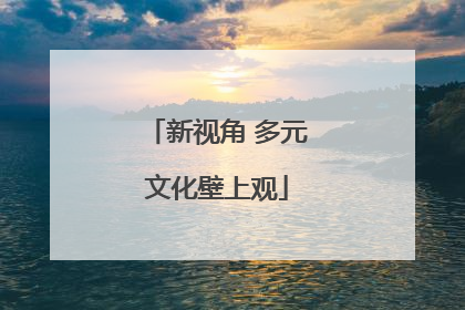 新视角 多元文化壁上观