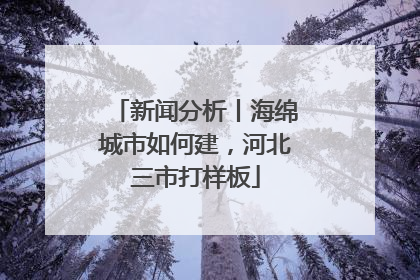 新闻分析丨海绵城市如何建，河北三市打样板