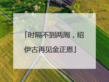 时隔不到两周，绍伊古再见金正恩