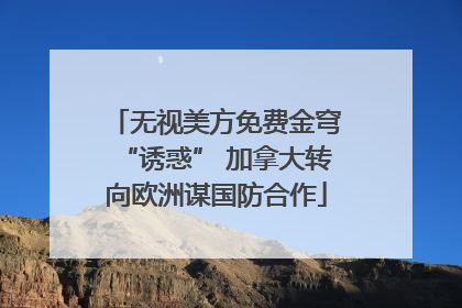 无视美方免费金穹“诱惑” 加拿大转向欧洲谋国防合作