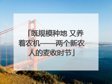既规模种地 又养着农机——两个新农人的麦收时节