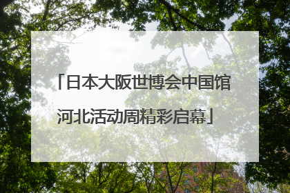 日本大阪世博会中国馆河北活动周精彩启幕