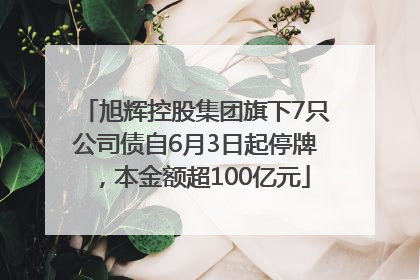 旭辉控股集团旗下7只公司债自6月3日起停牌，本金额超100亿元