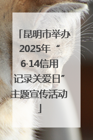 昆明市举办2025年“6·14信用记录关爱日”主题宣传活动