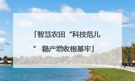 智慧农田“科技范儿” 稳产增收根基牢