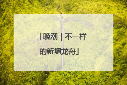 晚潮｜不一样的新塘龙舟