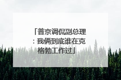 普京调侃副总理：我俩到底谁在克格勃工作过