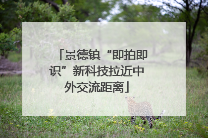 景德镇“即拍即识”新科技拉近中外交流距离