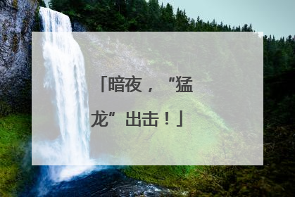 暗夜，“猛龙”出击！