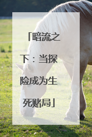 暗流之下：当探险成为生死赌局