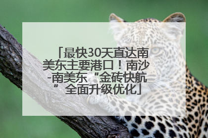 最快30天直达南美东主要港口！南沙-南美东“金砖快航”全面升级优化