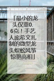 最小的龙头仅重0.6克！手艺人庞希文扎制的微型龙头蜈蚣风筝惊艳亮相