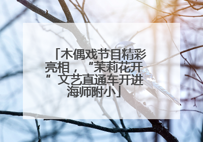 木偶戏节目精彩亮相，“茉莉花开”文艺直通车开进海师附小