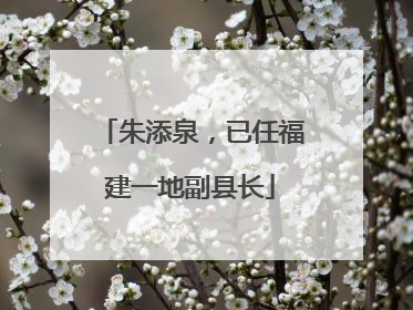朱添泉，已任福建一地副县长