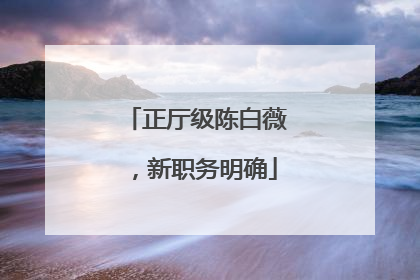 正厅级陈白薇，新职务明确
