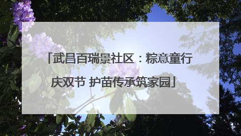 武昌百瑞景社区：粽意童行庆双节 护苗传承筑家园