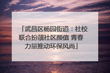 武昌区杨园街道：社校联合扮靓社区颜值 青春力量推动环保风尚