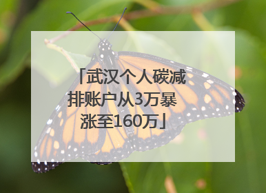 武汉个人碳减排账户从3万暴涨至160万