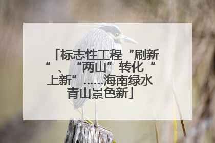 标志性工程“刷新”、“两山”转化“上新”……海南绿水青山景色新