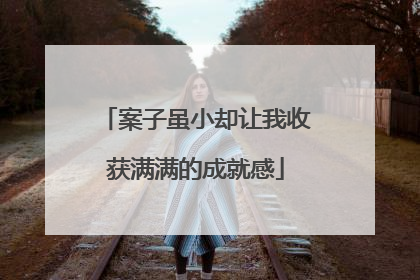 案子虽小却让我收获满满的成就感