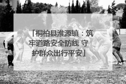 桐柏县淮源镇：筑牢道路安全防线 守护群众出行平安