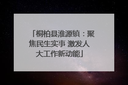 桐柏县淮源镇：聚焦民生实事 激发人大工作新动能