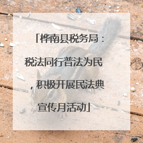 桦南县税务局：税法同行普法为民，积极开展民法典宣传月活动