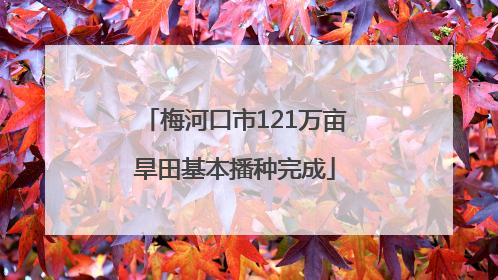 梅河口市121万亩旱田基本播种完成