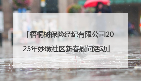 梧桐树保险经纪有限公司2025年妙墩社区新春慰问活动