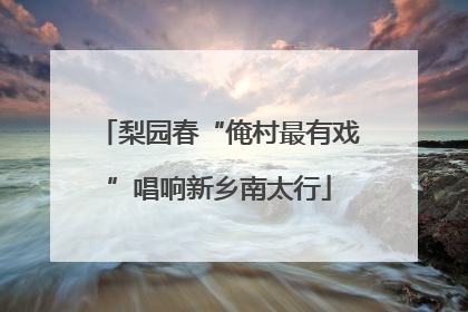 梨园春“俺村最有戏”唱响新乡南太行
