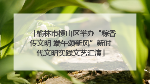 榆林市横山区举办“粽香传文明 端午颂新风”新时代文明实践文艺汇演