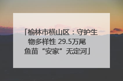 榆林市横山区：守护生物多样性 29.5万尾鱼苗“安家”无定河