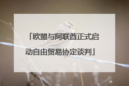 欧盟与阿联酋正式启动自由贸易协定谈判