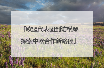 欧盟代表团到访横琴 探索中欧合作新路径
