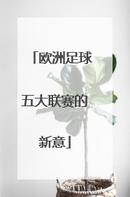 欧洲足球五大联赛的新意