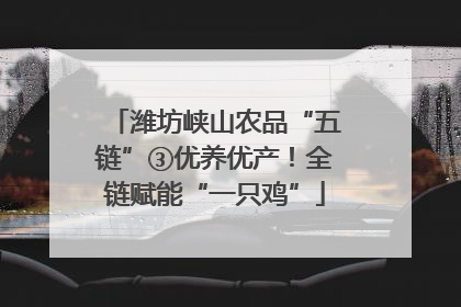 潍坊峡山农品“五链”③优养优产！全链赋能“一只鸡”