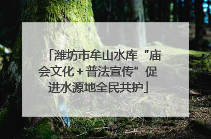 潍坊市牟山水库“庙会文化＋普法宣传”促进水源地全民共护