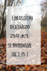 潍坊滨海区启动2025年水生生物增殖放流工作