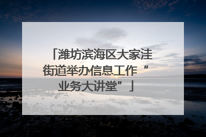 潍坊滨海区大家洼街道举办信息工作“业务大讲堂”