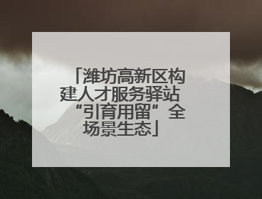 潍坊高新区构建人才服务驿站“引育用留”全场景生态