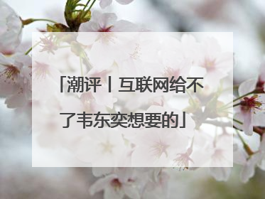 潮评丨互联网给不了韦东奕想要的