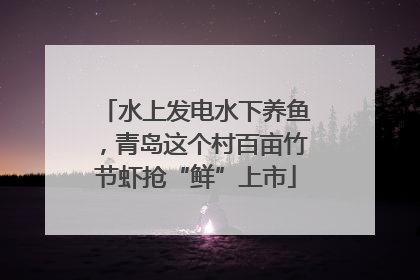 水上发电水下养鱼，青岛这个村百亩竹节虾抢“鲜”上市