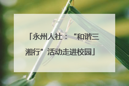 永州人社：“和谐三湘行”活动走进校园