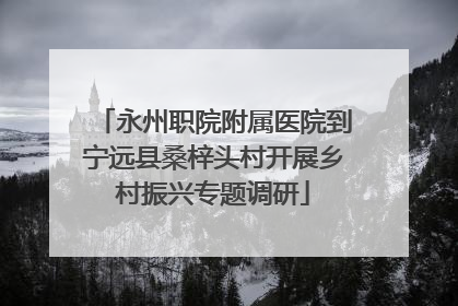 永州职院附属医院到宁远县桑梓头村开展乡村振兴专题调研