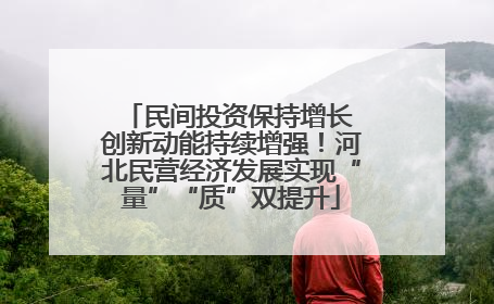 民间投资保持增长 创新动能持续增强！河北民营经济发展实现“量”“质”双提升