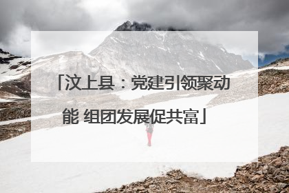 汶上县：党建引领聚动能 组团发展促共富